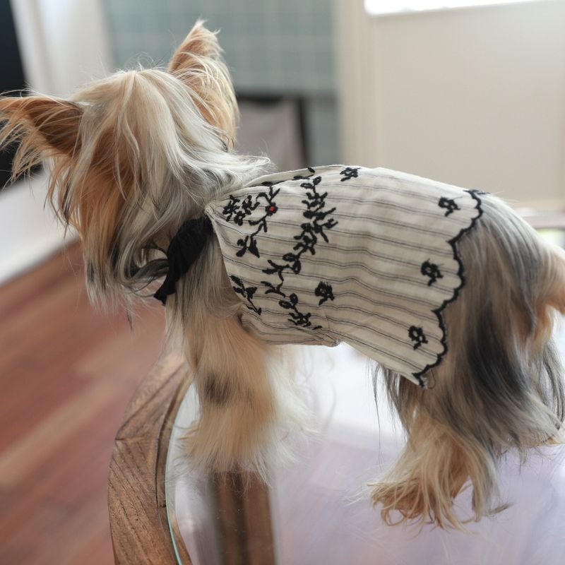 Weiches, einfarbiges Haustier-T-Shirt aus Baumwolle mit Strasssteinen und Rüschensaum für Katzen, Bichons und Yorkshire Terrier_voghion.com