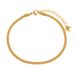 Korean Style INS Niche Simple New Flat Snake Bone Chain Anklet Fashion Personality Versatile Gold-Plated Titanium Steel_voghion.com