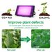 Lámpara LED de cultivo Phyto AC 220V 150W, reflector LED de espectro completo, foco para plantas hidropónicas de invernadero para interiores y exteriores_voghion.com