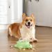 Pet Dispenser Puzzle Small Turtle Press Cat Dog Interactive Food Toy Automatic Feeder_voghion.com