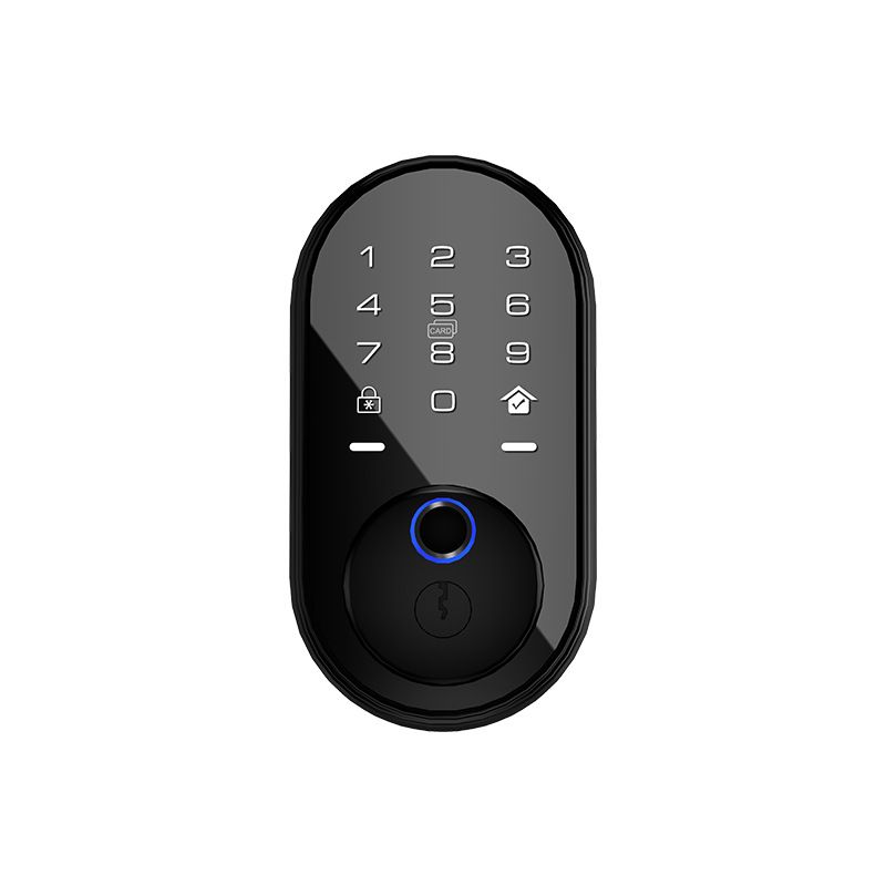 Serrures intelligentes et entrée à pêne dormant Serrure à empreinte digitale Ouverture instantanée avec contact Entrée sans clé via une application de carte PIN Caméra œil de chat intégrée et contrôle intelligent_voghion.com