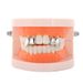Electroplating Hip Hop Braces Double Gold Teeth Silver Teeth Vampire Fangs Tiger Teeth Dentures Hip Hop Accessories Braces_voghion.com