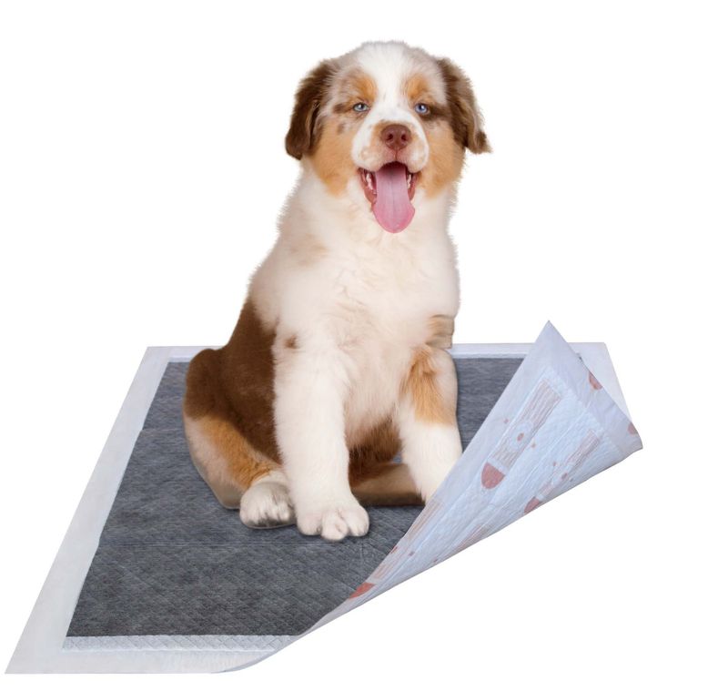 55 Grams Ultra Absorbent Charcoal Odor Eliminating Anti-Skid and Anti-Bacterial Diabetic Premium Dog Training Pads_voghion.com