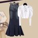 Damenbekleidung Herbst Royal Sister Style Outfit Einzigartiges Temperament Langarm Top Denim Fischschwanzrock Zweiteiliges Set_voghion.com
