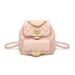 2025 Spring And Summer New Ladies Wool Bag, Chic Design Chain Backpack, Multifunctional Shoulder Bag Fashionable Versatile Leisure Daily Simple_voghion.com