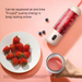 Delma Mini frullatore elettrico per succhi di frutta portatile e ricaricabile senza fili_voghion.com