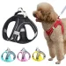 Sommerliche Netzweste und Leine für Hunde von PawParty Store_voghion.com