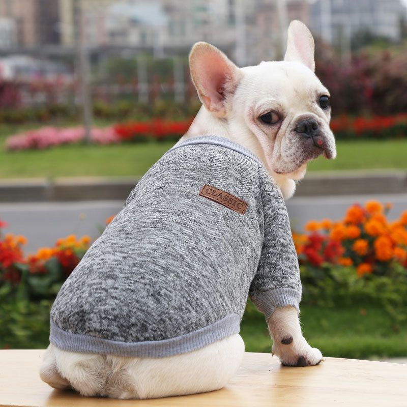 Pull tricoté automne-hiver pour chien bouledogue français, vêtements pour petits et moyens chiens, fournitures pour chats_voghion.com