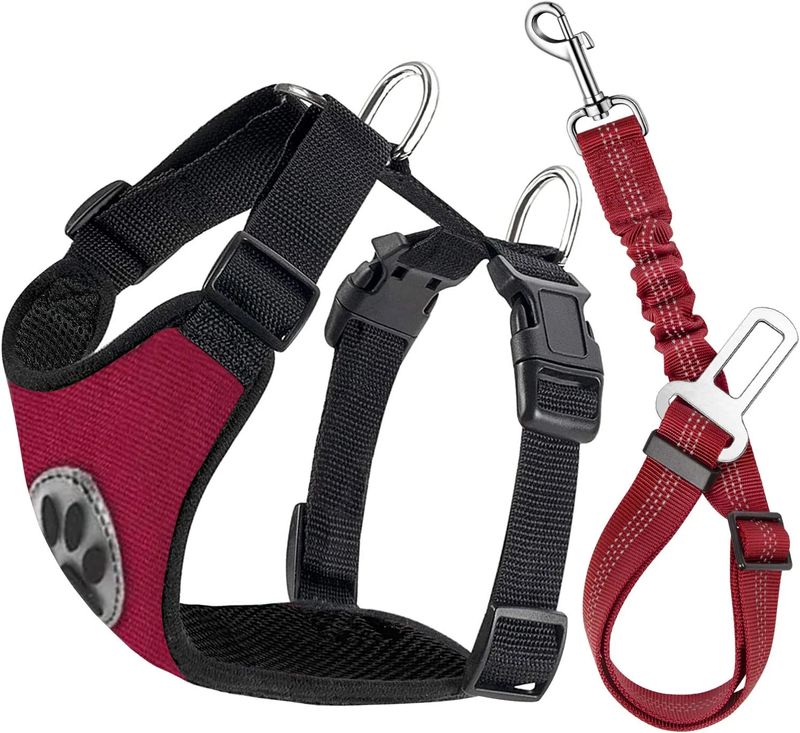 Nouvelle laisse pour chien réfléchissante et respirante, style gilet, avec sangle de poitrine et bandoulière, fournitures pour animaux de compagnie_voghion.com