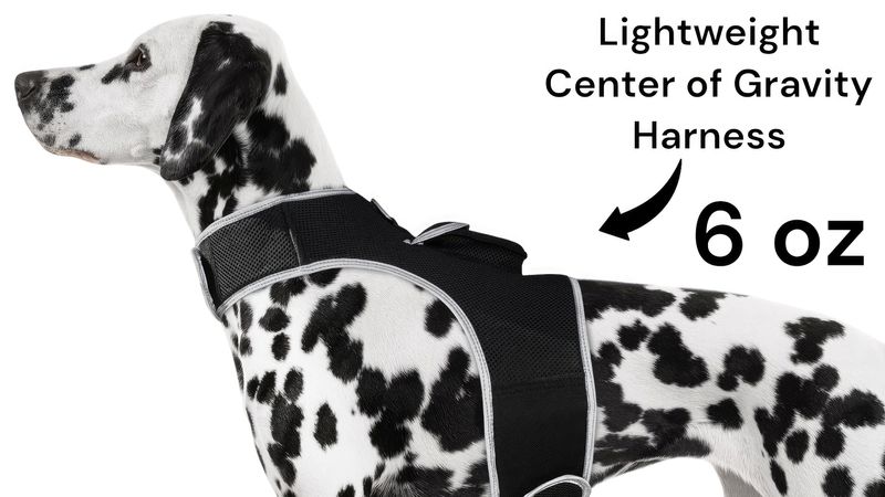 Handy Dog Trackers - Waterproof Pet Tracker Pocket GPS Pet Tracking Device Size:M_voghion.com