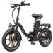 ESKUTE D100 Folding Electric Bike 16Inch With Detachable 36V 13Ah Battery_voghion.com