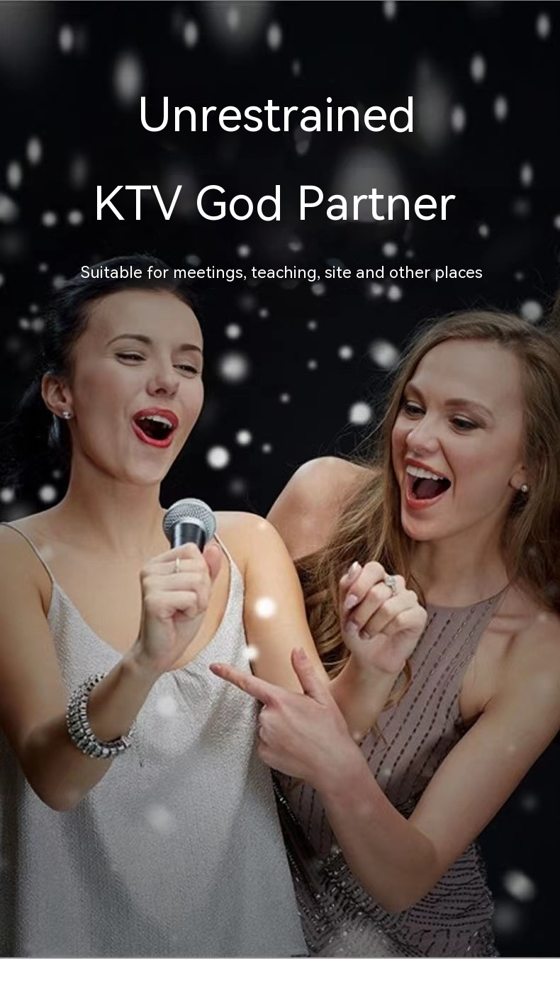 Drahtloses Mikrofonsystem UHF Professionelles Dual-Handheld-Dynamisches Schnurlosmikrofon-Set mit LCD-Display für Party_voghion.com