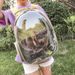 XZ Super 1,000 Repeat Customers Cat Bag Portable Space Pet Carrier Large Capacity Transparent Backpack_voghion.com