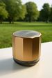 Wireless Stylish Mini Bass Metal Portable Bluetooth Speaker Loud USB-C_voghion.com