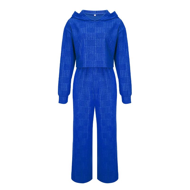 Set da due pezzi di pantaloni a gamba larga con cappuccio a maniche lunghe moda casual da donna_voghion.com