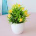 Simulation plant potted green plants Home decoration ornaments 17-mesh star round fruit Mini desktop simulation flower bonsai_voghion.com