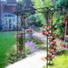 Metal Garden Arch L80.3'' X W20.47'' X H81.1'' Climbing Plants Support Rose Arch Outdoor Black_voghion.com