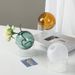 Living Room Decoration Glass Vase Home Decore Vases for Flowers Modern Nordic Spherical Hydroponic Tabletop Vase Transparent_voghion.com