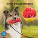 New Pet Dog Toy Durable Chew Bone Stick With Suction Cup For Medium And Large Dogs_voghion.com