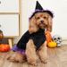 2025 New Wizard Transformation Costume Halloween Clothes Pet Cat Dog Apparel_voghion.com