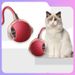 Toy Dog Walking Ball Pet Puppy Self-Entertainment Durable Chewable Electric Smart Automatic Cat Teaser_voghion.com