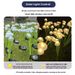 Solar-Powered LED Jellyfish Garden Lights – Waterproof Outdoor Decorative Lighting With Auto Dusk-to-Dawn & Motion Sensor_voghion.com