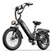 Tifgalop XC20 Electric Bike For Adults, 70NM 250W Motor, 48V 20AH Battery_voghion.com