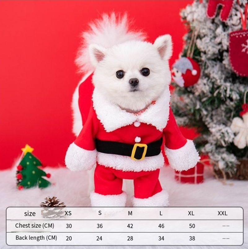 Hund julkläder höst och vinter upprätt kläder husdjur katt förvandlingskläder Teddy Bichon små hundkläder grossist_voghion.com