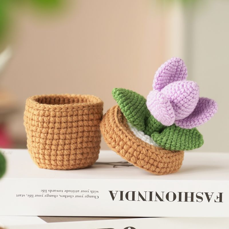 Heegeldatud materjali pakett Kudumine Käsitsi valmistatud isetehtud villataimede hoiukarbi kaunistused_voghion.com