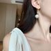 Women's Earrings White pearl zircon ear hooks 2022 new trendy style light luxury high-end earrings French retro earrings_voghion.com