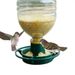 1pcs Recycle Empty Soda Bottle Top Bird Feeder Automatical Outdoors Garden Balcony Hanging Feeding Tray_voghion.com