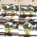 Keychain Broccoli Plush Adorable Cute And Soft Vegetable Toy Bag Charm_voghion.com