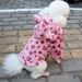 Dog Clothes Spring and Autumn Clothes Leopard Print Jacket Thickened Teddy Schanery Bomei Chihuahua Pet Fashion Clothing_voghion.com