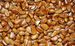 2.5 Pound (1135 Grams) Roasted Pine Nuts Grade A From Northeast China_voghion.com