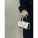Winter hairy 2024 autumn and winter Korean version plush chain women's handbag diagonal cross single shoulder small_voghion.com