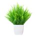 Simuleringsplanter planter grønne planter indendørs og udendørs dekoration desktop plast potte persisk græs små potteplanter_voghion.com