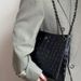 Square Wanderer Spring Summer New Crocodile Pattern High-End Elegant Single Shoulder Double Chain Crossbody Women's Bag_voghion.com