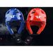 New Children's Taekwondo Headguard, Karate Protective Fully Enclosed With Face Mask, Helmet, Sanda Head Guard_voghion.com