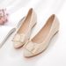 beef Tendon Sole Shallow Mouth Single Shoes Damen Soft Sole Work Lederschuhe Damen Soft Leather Spitz Flache Schuhe_voghion.com