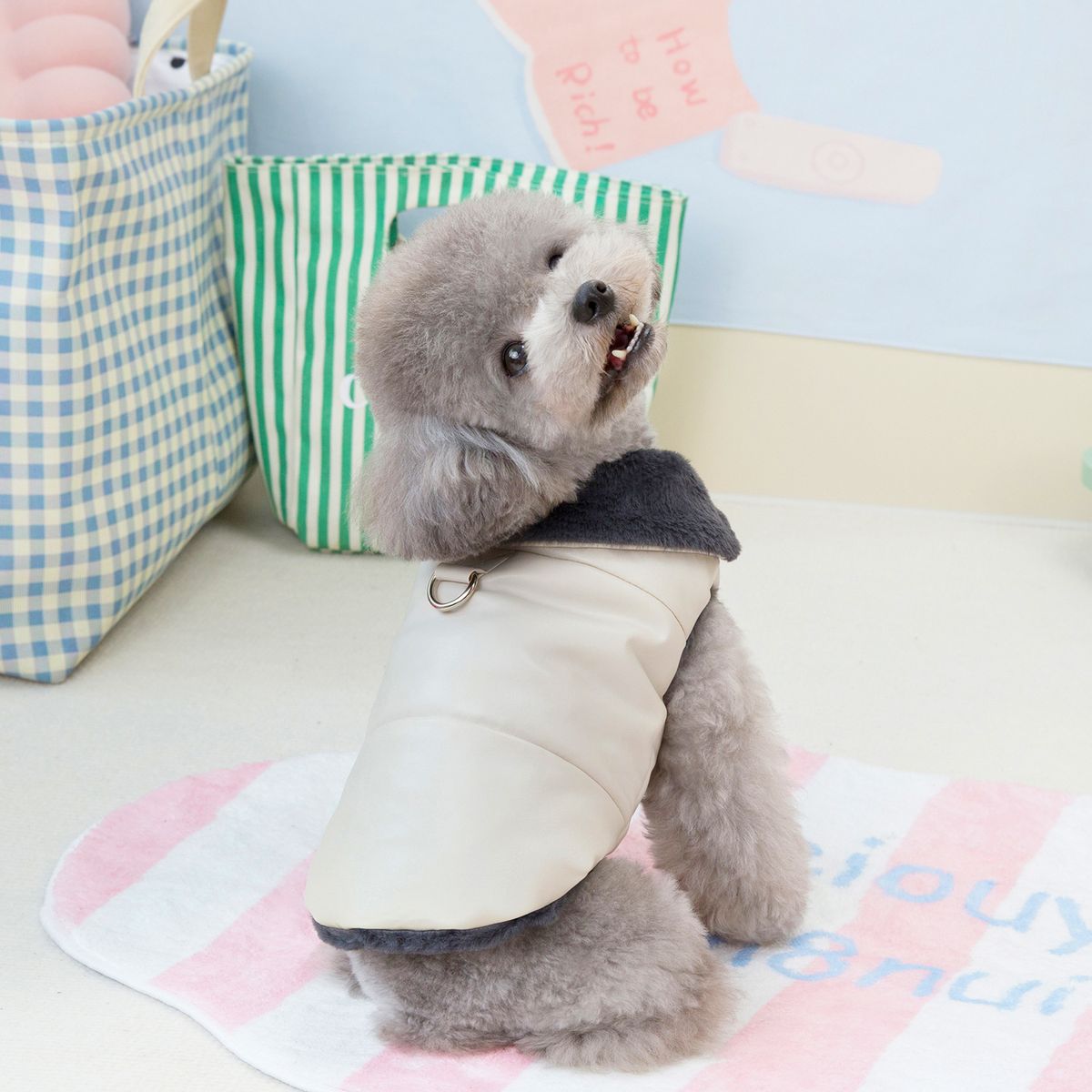Winter Vest Cat Pet Clothes Teddy Bichon Small Dog Fleece Waterproof Leash Cotton Jacket_voghion.com