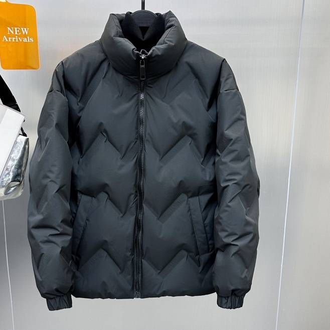 Men's Clothing White Duck Down Men's Winter Embossed Dark Pattern Stand Collar Down Jacket Warm Jacket_voghion.com
