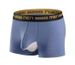 Boxer da uomo con design a marsupio - Tessuto modale, rete traspirante, elevata elasticità, vita media, comodi indumenti intimi da uomo_voghion.com