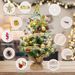 Tabletop Mini Artificial Christmas Tree With LED Lights, Star Topper, And Hanging Ornaments - 24 Inch Small Christmas Tree For Holiday DIY Decorations_voghion.com