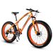 Direct Sales Snowmobile 26/ 20inch Dual Disc Brake Mountain Snow Beach Fat Tire Variable Speed Bicycle_voghion.com