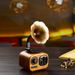 Speaker Retro Wood Portable Box Wireless Mini speaker Outdoor for Sound System TF FM Radio_voghion.com