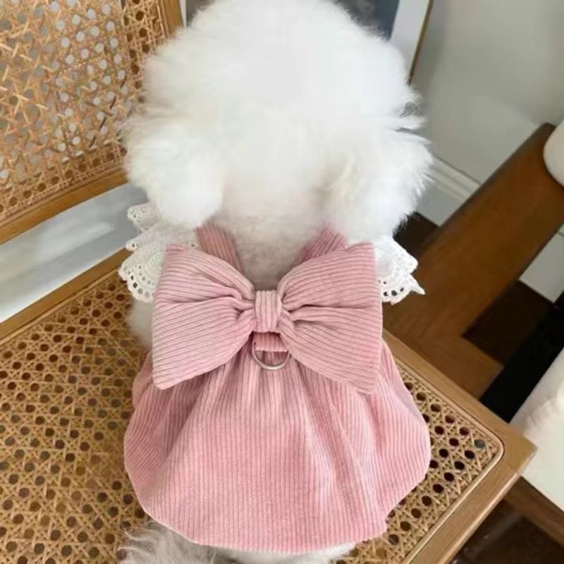 Haustierkleidung Herbst Winter Neuer Cordkürbis mit Leinenschnalle für Teddy Bichon Hunde und Katzen Warmer Spitzenrock_voghion.com