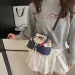 This Year's Trend: Niche Design Small Bags Women's Versatile Canvas Crossbody Color-Block Handheld Bucket Bag_voghion.com