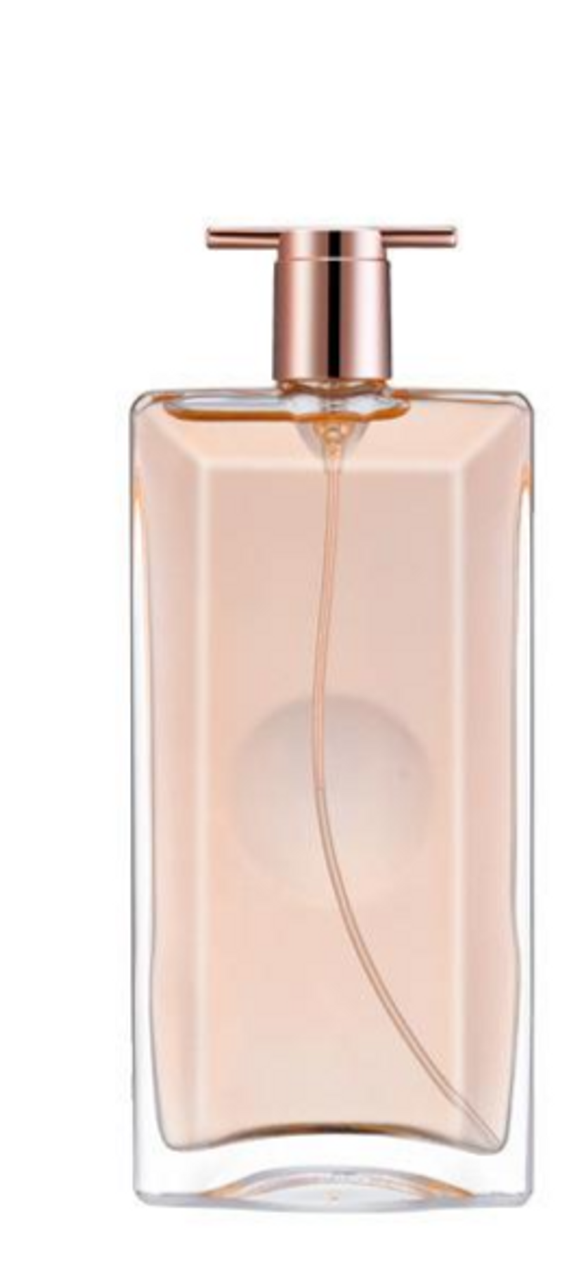 2023 New Hot WARMKISS is My Men's and Women's Perfume Fresh Fragrance Long Lasting Vietnam Perfume Floral Tone_voghion.com