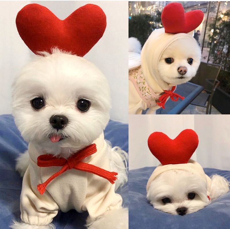 Novas roupas para o outono e inverno, cachorrinho, gatinho de pelúcia, moletom de pelúcia, suprimentos para animais de estimação, rabanete branco_voghion.com