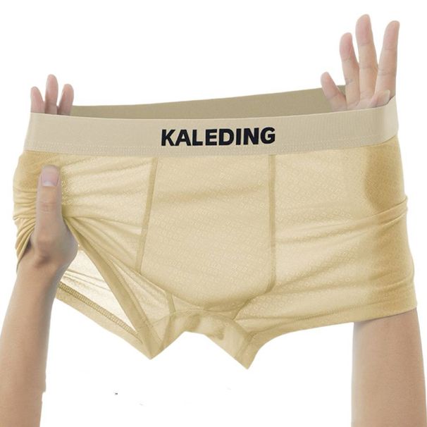 Men's Underwear Summer Ice Silk Men's Underwear Ultra Thin Cool Boxer Briefs Comfortable Breathable Teenagers Pants Boxer Shorts_voghion.com
